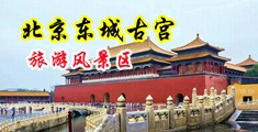 淫荡骚妇毛茸茸中国北京-东城古宫旅游风景区
